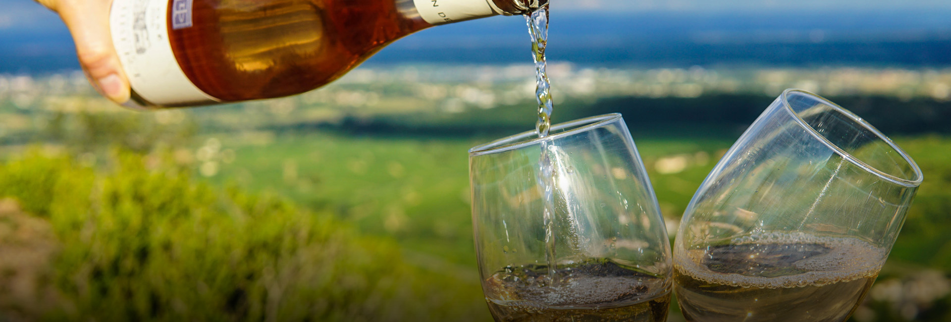 Bella Tour Wine Tasting Tours Services