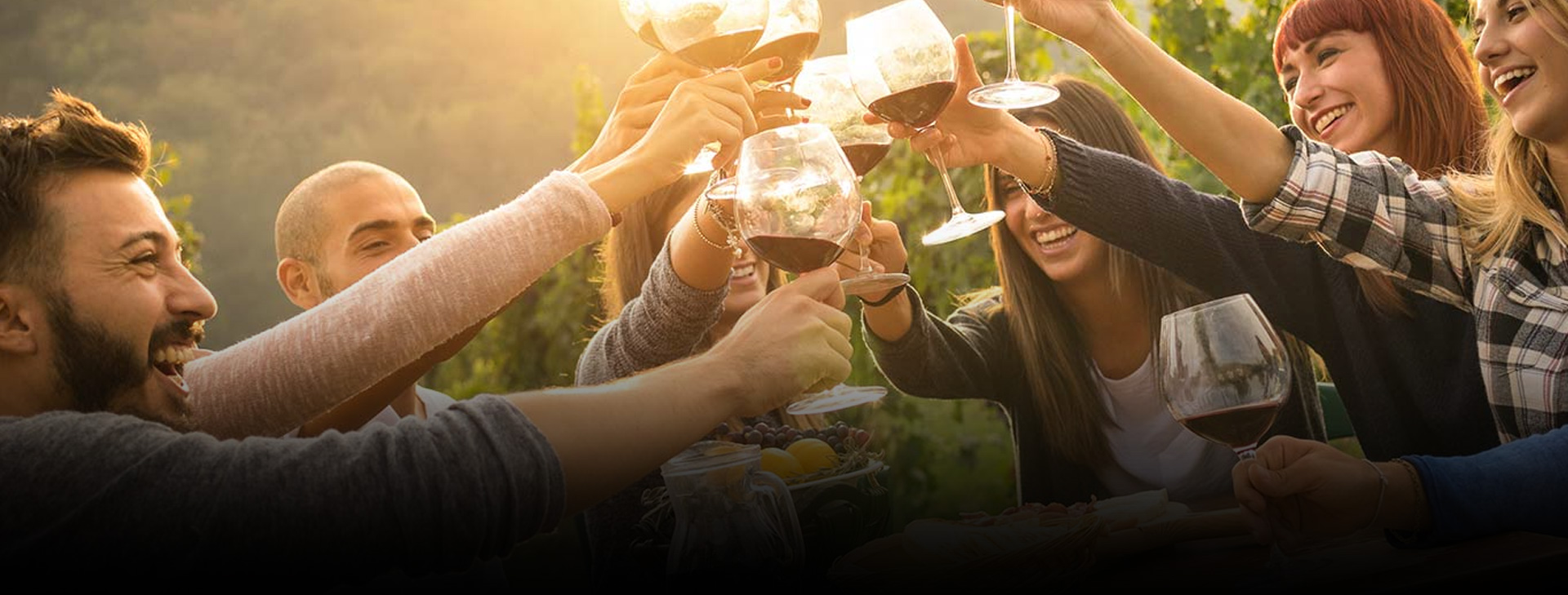 Bella Tour Wine Tasting Tours Services